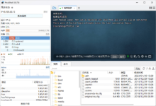 使用 FinalShell 这款 SSH 软件部署 WordPress 服务器 - WPEXP